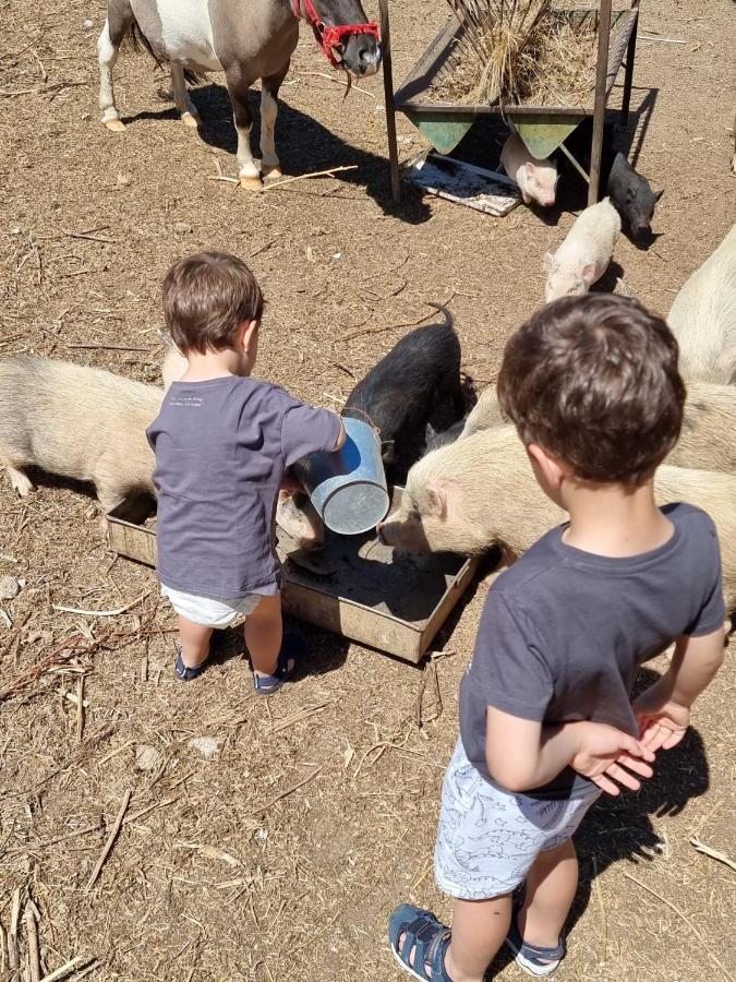 Arca Dos Animais - Farming & Spa Castelo Branco  Exteriör bild